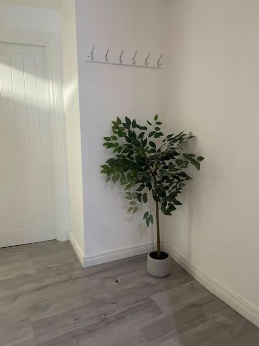 Modern 1-Bed Apartment بلفاست المظهر الخارجي الصورة